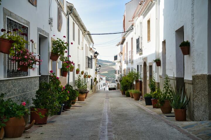 Interview: The Couple Living on €800/Month in Rural Spain